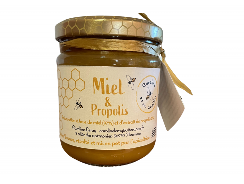 MIEL PROPOLIS 250G