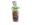 Assortiment galettes et palets bretons nature - 100g